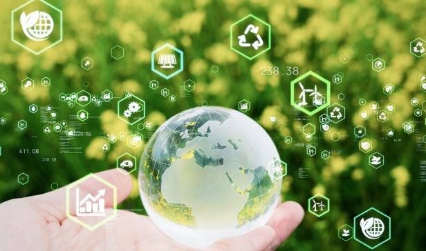 海外リユースルートを活用し環境にも配慮